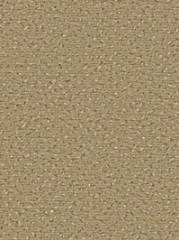 wDTW104526A400-R Das Teppichwerk Teppichboden Passion and...