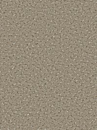 wDTW104527A400-R Das Teppichwerk Teppichboden Passion and...