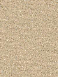 wDTW104528A400-R Das Teppichwerk Teppichboden Passion and...
