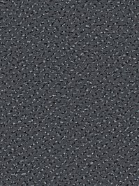 wDTW104529A400-R Das Teppichwerk Teppichboden Passion and...