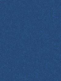 wDTW104633A400-R Das Teppichwerk Teppichboden Passion and...