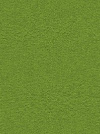 wDTW104635A400-R Das Teppichwerk Teppichboden Passion and...