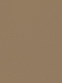 wDTW104639A400-R Das Teppichwerk Teppichboden Passion and...