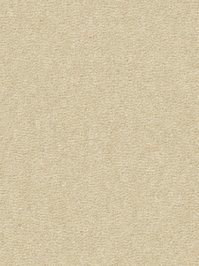 wDTW104640A400-R Das Teppichwerk Teppichboden Passion and...