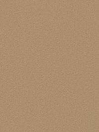 wDTW104641A400-R Das Teppichwerk Teppichboden Passion and...