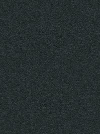 wDTW104642A400-R Das Teppichwerk Teppichboden Passion and...