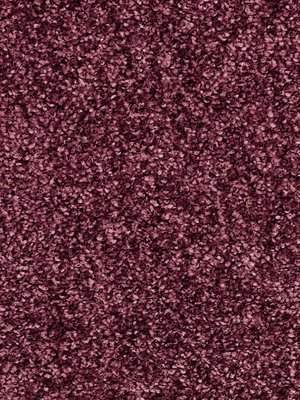 wDTW104531A400-R Das Teppichwerk Teppichboden Passion and...