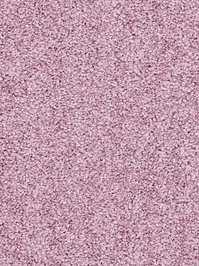 wDTW104532A400-R Das Teppichwerk Teppichboden Passion and...