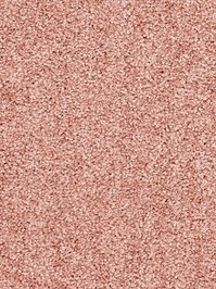wDTW104533A400-R Das Teppichwerk Teppichboden Passion and...
