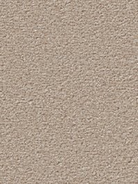 wDTW104542A400-R Das Teppichwerk Teppichboden Passion and...