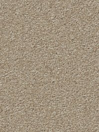 wDTW104544A400-R Das Teppichwerk Teppichboden Passion and...