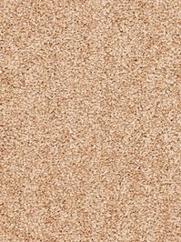 wDTW104545A400-R Das Teppichwerk Teppichboden Passion and...
