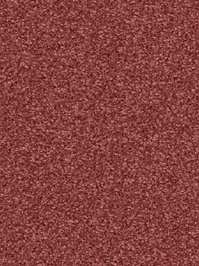 wDTW104546A400-R Das Teppichwerk Teppichboden Passion and...