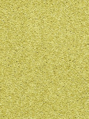 wDTW104547A400-R Das Teppichwerk Teppichboden Passion and...