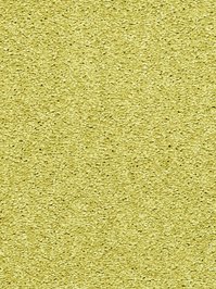 wDTW104547A400-R Das Teppichwerk Teppichboden Passion and...