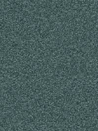 wDTW104548A400-R Das Teppichwerk Teppichboden Passion and...