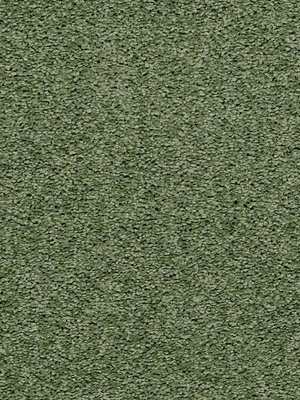 wDTW104549A400-R Das Teppichwerk Teppichboden Passion and...