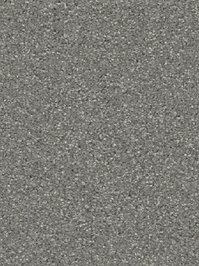 wDTW104550A400-R Das Teppichwerk Teppichboden Passion and...