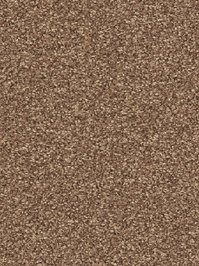 wDTW104554A400-R Das Teppichwerk Teppichboden Passion and...