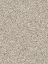 wDTW104556A400-R Das Teppichwerk Teppichboden Passion and...