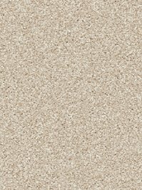 wDTW104557A400-R Das Teppichwerk Teppichboden Passion and...