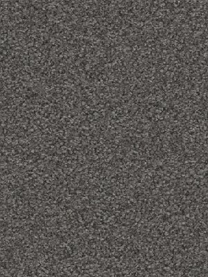 wDTW104559A400-R Das Teppichwerk Teppichboden Passion and...