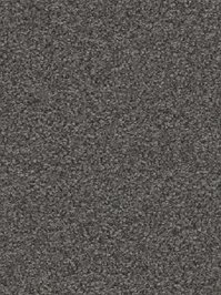 wDTW104559A400-R Das Teppichwerk Teppichboden Passion and...