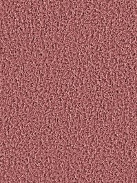 wDTW104601A400-R Das Teppichwerk Teppichboden Passion and...