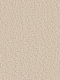 wDTW104605A400-R Das Teppichwerk Teppichboden Passion and...