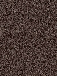 wDTW104607A400-R Das Teppichwerk Teppichboden Passion and...
