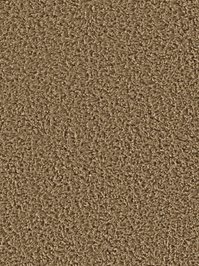 wDTW104608A400-R Das Teppichwerk Teppichboden Passion and...