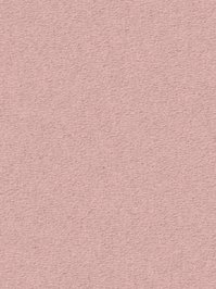 wDTW104673A400-R Das Teppichwerk Teppichboden Passion and...