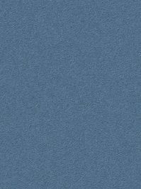 wDTW104677A400-R Das Teppichwerk Teppichboden Passion and...