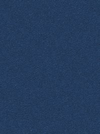 wDTW104680A400-R Das Teppichwerk Teppichboden Passion and...