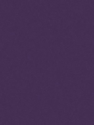 wDTW104681A400-R Das Teppichwerk Teppichboden Passion and...