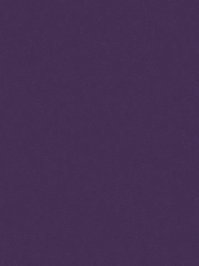 wDTW104681A400-R Das Teppichwerk Teppichboden Passion and...