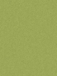wDTW104682A400-R Das Teppichwerk Teppichboden Passion and...