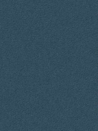 wDTW104683A400-R Das Teppichwerk Teppichboden Passion and...