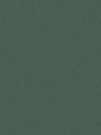 wDTW104685A400-R Das Teppichwerk Teppichboden Passion and...