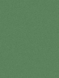 wDTW104686A400-R Das Teppichwerk Teppichboden Passion and...