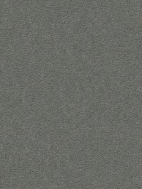 wDTW104687A400-R Das Teppichwerk Teppichboden Passion and...