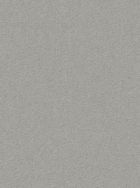 wDTW104690A400-R Das Teppichwerk Teppichboden Passion and...