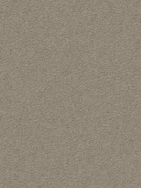 wDTW104694A400-R Das Teppichwerk Teppichboden Passion and...