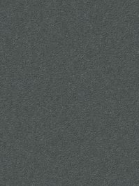 wDTW104695A400-R Das Teppichwerk Teppichboden Passion and...