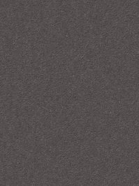 wDTW104696A400-R Das Teppichwerk Teppichboden Passion and...