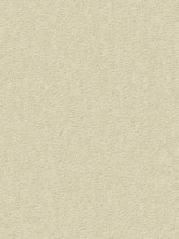 wDTW104697A400-R Das Teppichwerk Teppichboden Passion and...