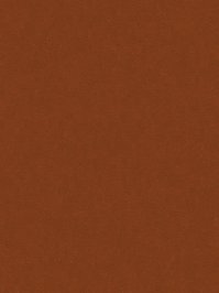 wDTW104698A400-R Das Teppichwerk Teppichboden Passion and...