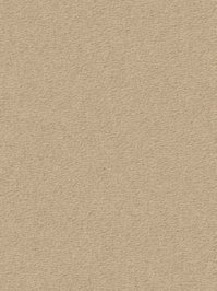 wDTW104700A400-R Das Teppichwerk Teppichboden Passion and...