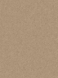 wDTW104701A400-R Das Teppichwerk Teppichboden Passion and...