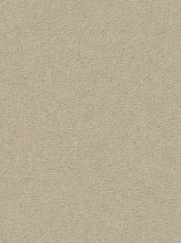 wDTW104702A400-R Das Teppichwerk Teppichboden Passion and...